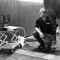 J. Blake Everett, DVM, MS, DACVS-LA (@beverettdvm) 's Twitter Profile