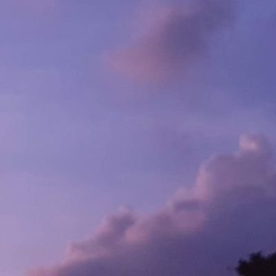 iwoofbrownie's profile picture. second-year medstud.