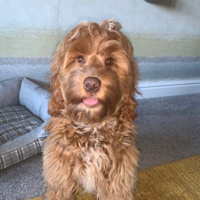 millyw_x_o's profile picture. 