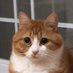 FakeTGR (@test09870) Twitter profile photo FakeTGR (@test09870) Twitter profile photo