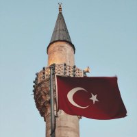 yasuo M. 🌱 (@yaseminmusaoglu) Twitter profile photo