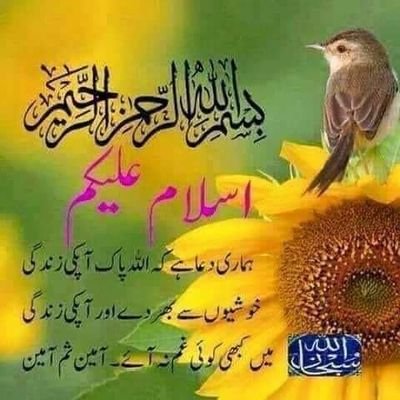 Aliasghar3124's profile picture. 