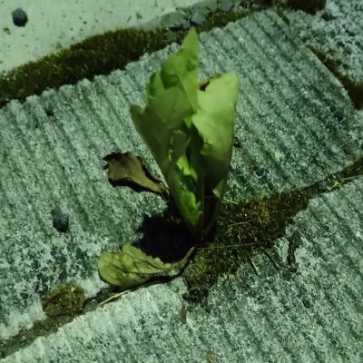 スマブラ見てます
ロゼッタ/VIPボーダー/観戦勢
JJPRという独自のスマブラプレイヤーランキング作ってます
https://t.co/yFjHjXN6Fn
JJPRのことでも他でもなんでも気軽にどうぞ