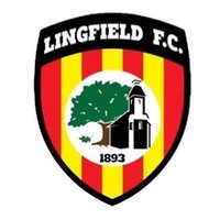 Lingfield FC ⚽️(@Lingfield_FC) 's Twitter Profile Photo