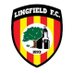 @Lingfield_FC