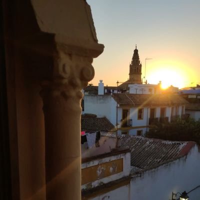Profesor de Lengua Castellana y Literatura