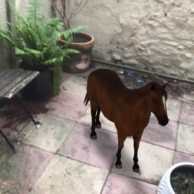 Daf_Owain's profile picture. 