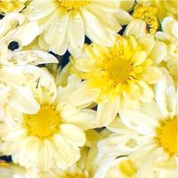 cleanairforall (@cleanairforall5) 's Twitter Profile