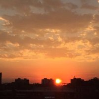 Jane Wiley (@janewil94237478) 's Twitter Profile