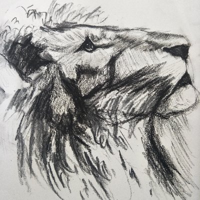 QunYu_Nine's profile picture. 