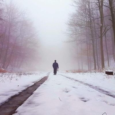 sasha34899251's profile picture. MFC