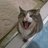 Eugenenike's profile image