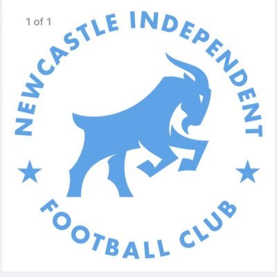 Newcastle Independent FC