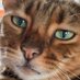 mlc (@artycreature) Twitter profile photo mlc (@artycreature) Twitter profile photo