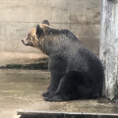 oguogucoll's profile picture. しろうと娘秋葉原https://t.co/Z7MzHmbg9M