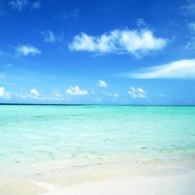 ip70064337's profile picture. 光復香港 時代革命🇭🇰 #互follow #手足互科 #HongKongers #HongKong #HK never give up❣️#save12 #save12HKyouths