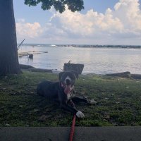 Tuas Dad (@cgiordano83) 's Twitter Profile