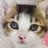 shiosai_chan___