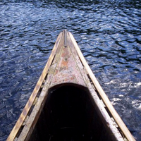 PlaidCanoe (@plaidcanoe) 's Twitter Profile