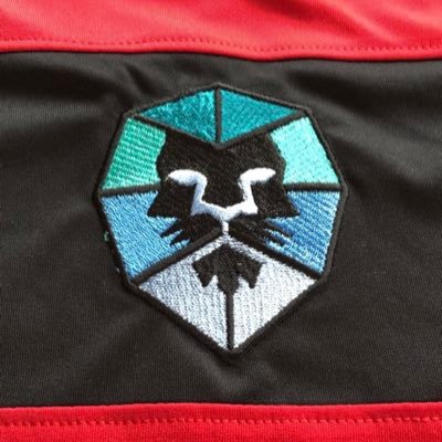 TheClarenceFC1's profile picture. https://t.co/UGy9Pv8gXi