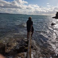 Raoul (@pingraoul) 's Twitter Profile