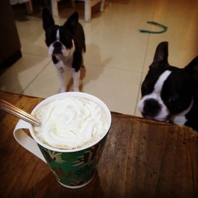 solqui76's profile picture. 