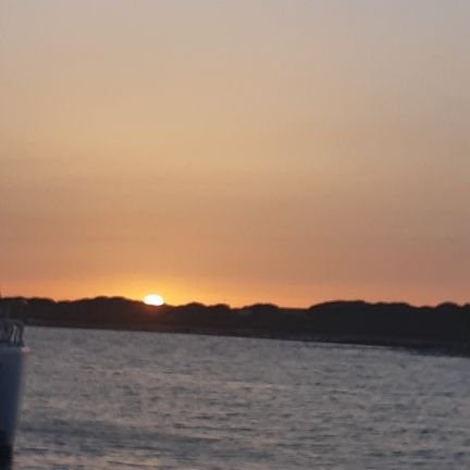 Joseangel2302's profile picture. 