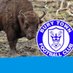 bury bisons (@bisonsbury) Twitter profile photo bury bisons (@bisonsbury) Twitter profile photo