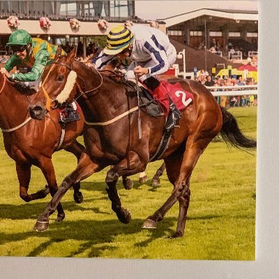 andytaylorleeds's profile picture. Taylor's Bloodstock. CV Internationaldebut, Line Of Reason, Monsieur Joe, Desert Law, Final Venture, Albasheer et al. #yorkshire
