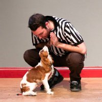 Adam Weinrib (@adamweinrib) 's Twitter Profile Photo Adam Weinrib (@adamweinrib) 's Twitter Profile Photo