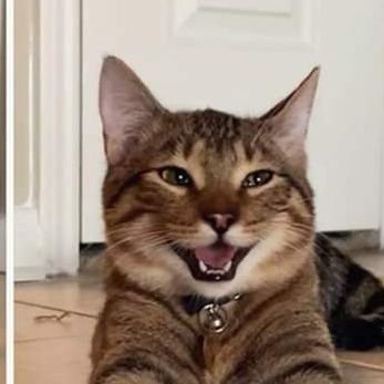 AliKhan98874431's profile picture. 