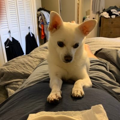 KRW_007's profile picture. 