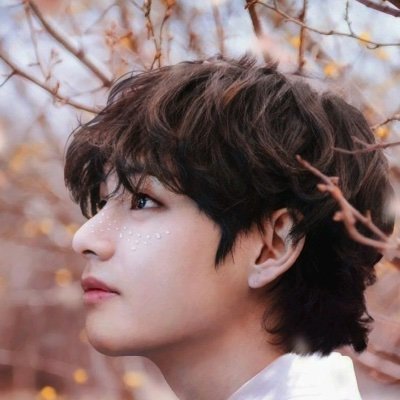 Hello...do u know bts?,I know her face but I don’t know her name, Hi I’m V I’m I'm a good boy, Tony Montana? Lachimolala? ,I hate snake, Important business