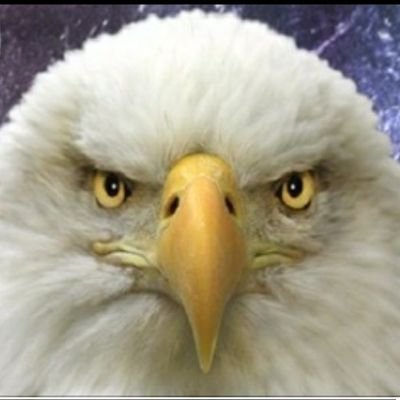 josewwwcl's profile picture. En que elección o plebiscito nos han preguntado si queremos entregar nuestra soberanía a la ONU y su Agenda 2030? NO SOY BOT