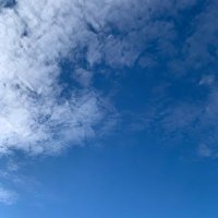 TJTS (@tjts_book) 's Twitter Profile