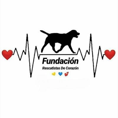 🐶🐶😸Proteccionista independiente que bronda amor y protección a los animales y personas en situación de riesgo🙏