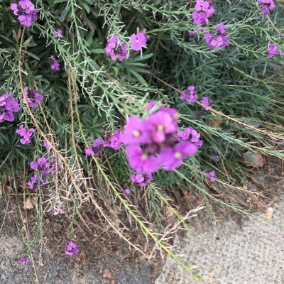 graphicks_matt's profile picture. 