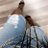 ShawnaLucrative's profile image