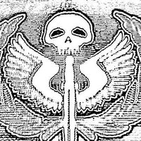 Simon Riley (@simon141riley) 's Twitter Profile