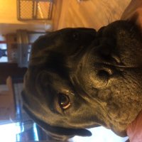 Big Train (@thebarbarian401) 's Twitter Profile