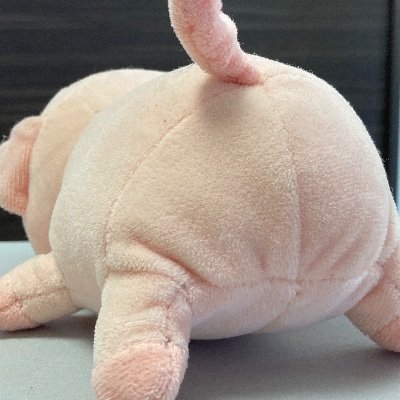 @iEoscOi3gNa3oPy