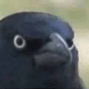 My name is (@ctendersv3) 's Twitter Profile