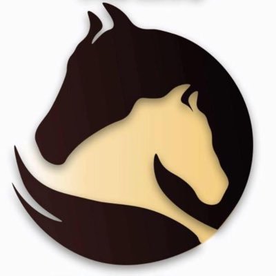 cavalos_cmp's profile picture. Instagram @cavalosminhapaixao