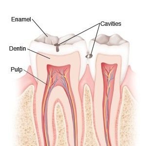 Periodontist
BDS,  MDS
Tooth Zone Dental Clinic