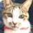ピロリン@ストイックと怠惰の間を行き来する男のアイコン