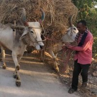 Harvesting Foundation (@hfoundationin) 's Twitter Profile