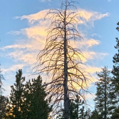 mikesmag's profile picture. #Cunity College dropout