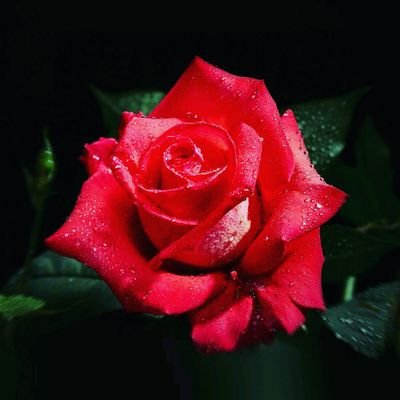 Oh7772's profile picture. 