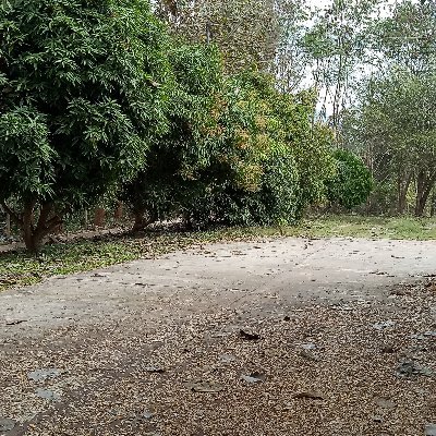 CIdts7ZpNsz7tHt's profile picture. 