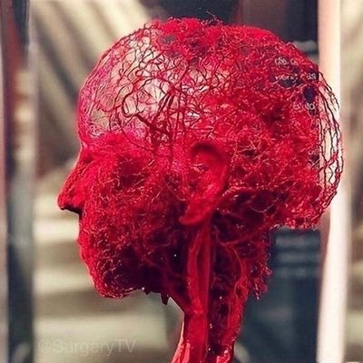 alemlex's profile picture. “ Lost time is never found again.”